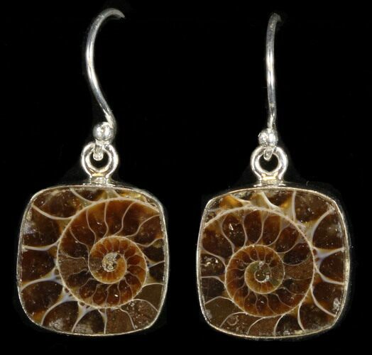 Fossil Ammonite Earrings - Sterling Silver #38131